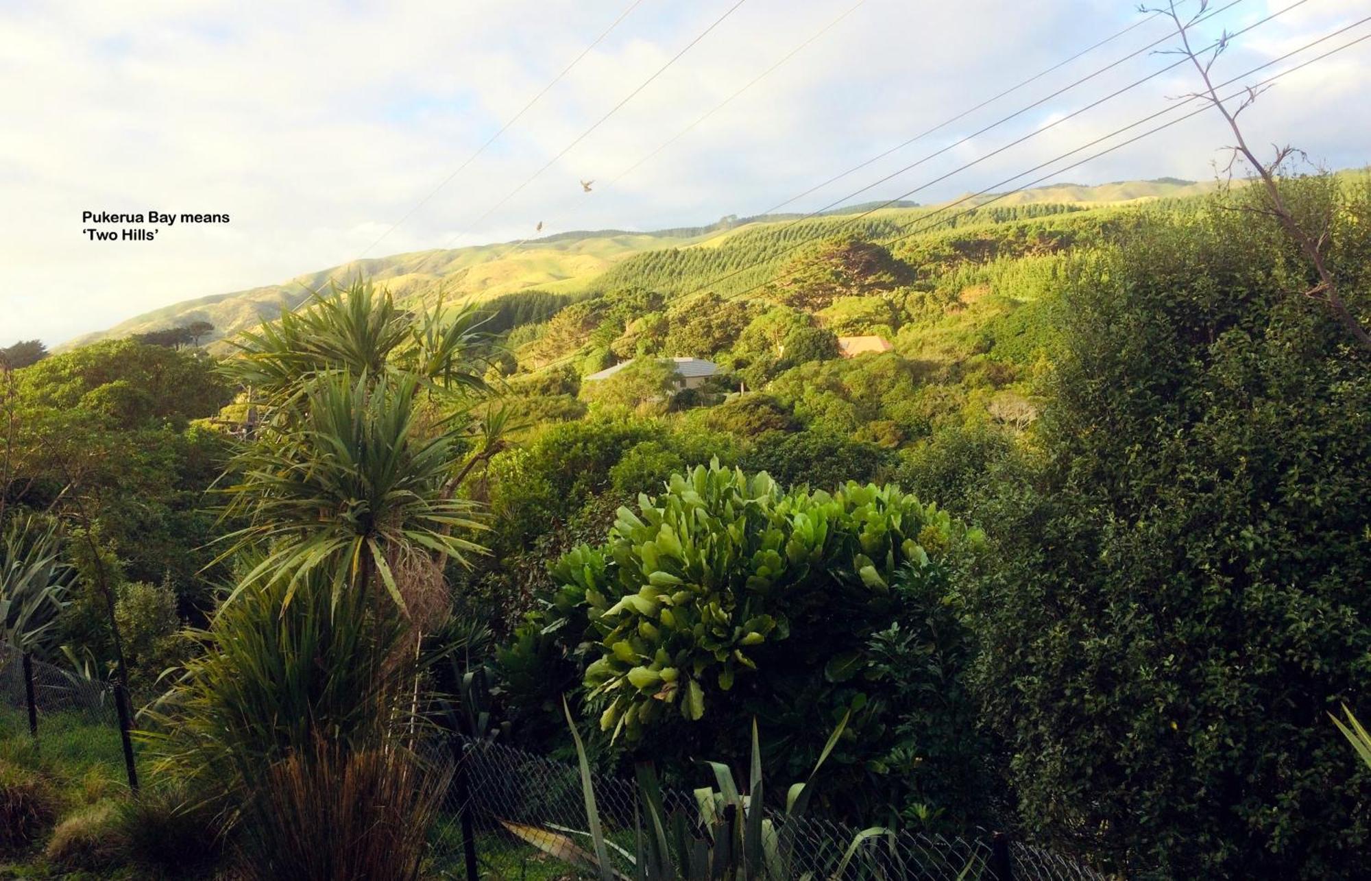 Peaceful Pukerua Bay Apartman Kültér fotó